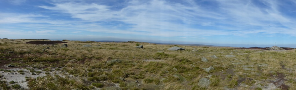 Bleaklow Head